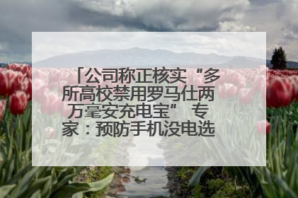 公司称正核实“多所高校禁用罗马仕两万毫安充电宝” 专家：预防手机没电选中等体积产品即可