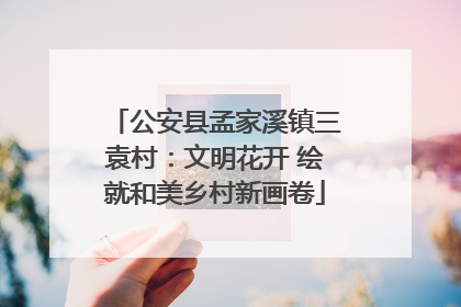公安县孟家溪镇三袁村：文明花开 绘就和美乡村新画卷