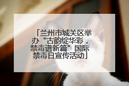 兰州市城关区举办“古韵绽华彩，禁毒谱新篇”国际禁毒日宣传活动