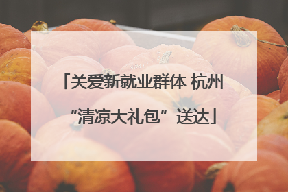 关爱新就业群体 杭州“清凉大礼包”送达