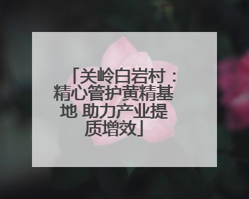关岭白岩村：精心管护黄精基地 助力产业提质增效