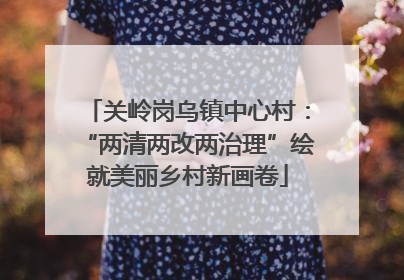 关岭岗乌镇中心村：“两清两改两治理”绘就美丽乡村新画卷