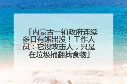 内蒙古一镇政府连续多日有熊出没！工作人员：它没攻击人，只是在垃圾桶翻找食物