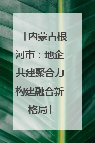 内蒙古根河市：地企共建聚合力构建融合新格局