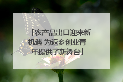 农产品出口迎来新机遇 为返乡创业青年提供了新舞台