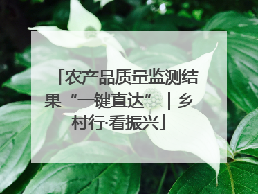 农产品质量监测结果“一键直达”｜乡村行·看振兴