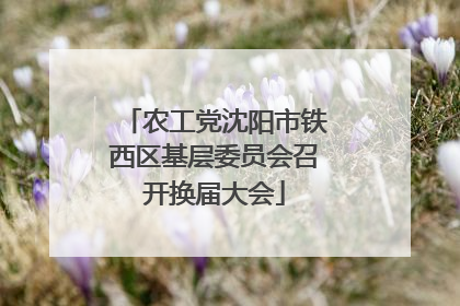 农工党沈阳市铁西区基层委员会召开换届大会