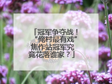 冠军争夺战！“俺村最有戏” 焦作站冠军究竟花落谁家？