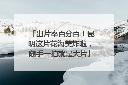 出片率百分百！昆明这片花海美炸啦，随手一拍就是大片