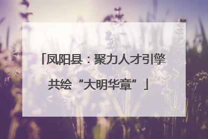 凤阳县：聚力人才引擎 共绘“大明华章”