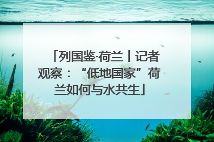 列国鉴·荷兰丨记者观察：“低地国家”荷兰如何与水共生