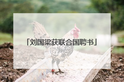 刘国梁获联合国聘书