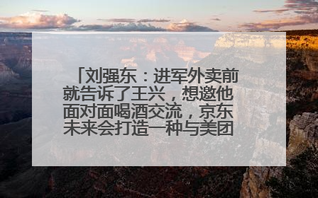 刘强东：进军外卖前就告诉了王兴，想邀他面对面喝酒交流，京东未来会打造一种与美团不同的商业模式
