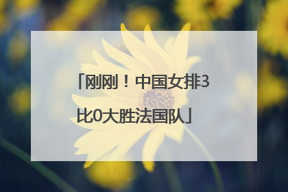 刚刚！中国女排3比0大胜法国队