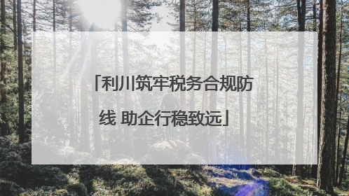 利川筑牢税务合规防线 助企行稳致远