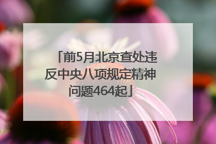 前5月北京查处违反中央八项规定精神问题464起