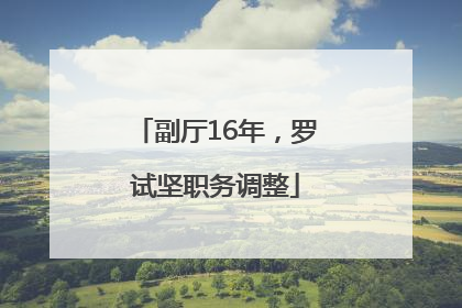 副厅16年，罗试坚职务调整