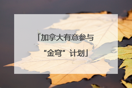 加拿大有意参与“金穹”计划