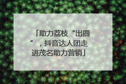 助力荔枝“出圈”，抖音达人团走进茂名助力营销
