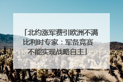 北约涨军费引欧洲不满 比利时专家：军备竞赛不能实现战略自主