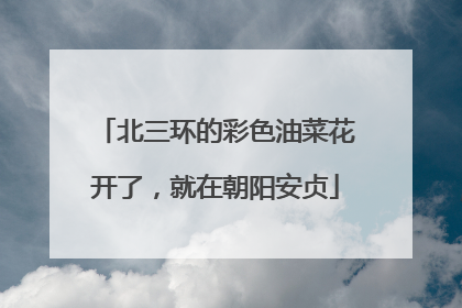 北三环的彩色油菜花开了，就在朝阳安贞