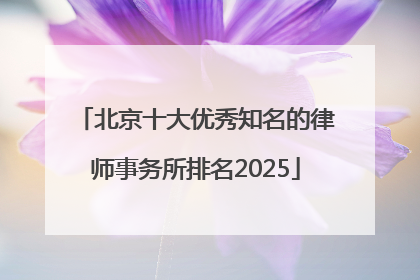 北京十大优秀知名的律师事务所排名2025