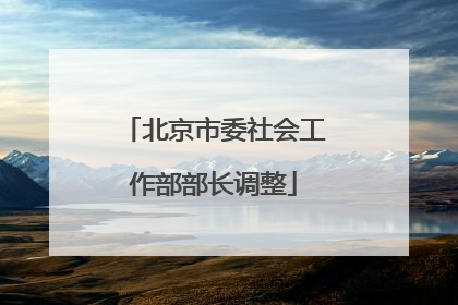 北京市委社会工作部部长调整