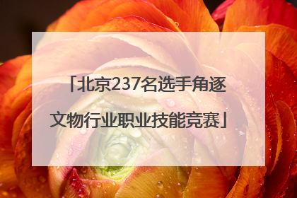 北京237名选手角逐文物行业职业技能竞赛
