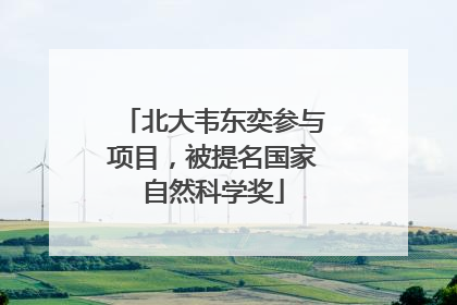 北大韦东奕参与项目，被提名国家自然科学奖