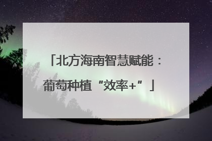 北方海南智慧赋能：葡萄种植“效率+”