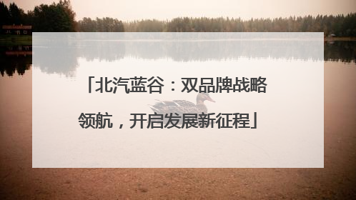北汽蓝谷：双品牌战略领航，开启发展新征程