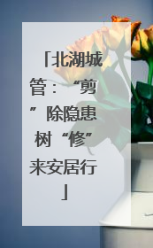 北湖城管：“剪”除隐患树“修”来安居行