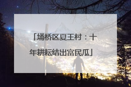 埇桥区夏王村：十年耕耘结出富民瓜