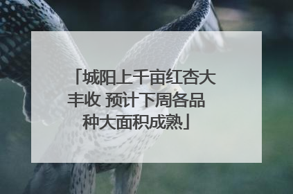 城阳上千亩红杏大丰收 预计下周各品种大面积成熟