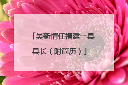 吴新情任福建一县县长（附简历）