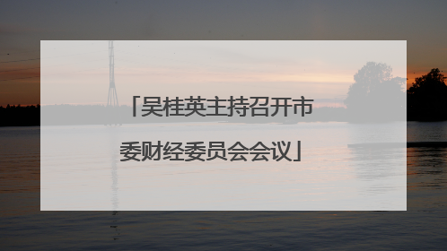 吴桂英主持召开市委财经委员会会议