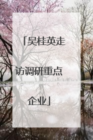 吴桂英走访调研重点企业