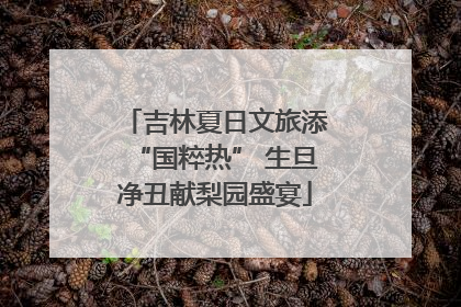 吉林夏日文旅添“国粹热” 生旦净丑献梨园盛宴