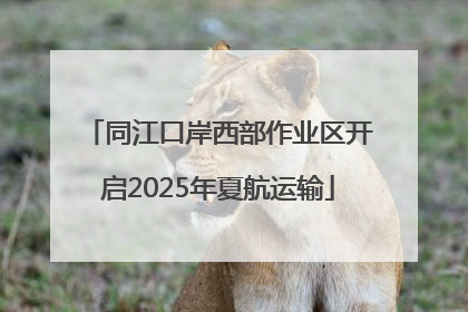 同江口岸西部作业区开启2025年夏航运输
