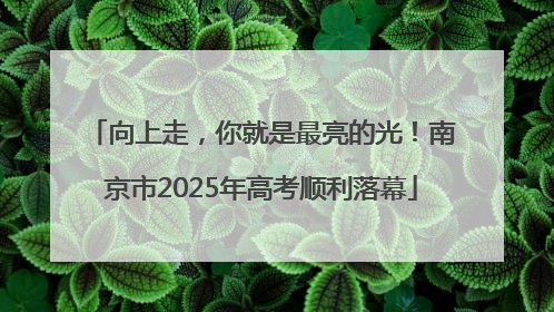 向上走，你就是最亮的光！南京市2025年高考顺利落幕