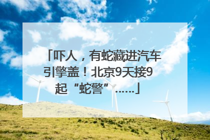 吓人，有蛇藏进汽车引擎盖！北京9天接9起“蛇警”……