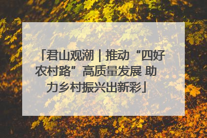 君山观潮｜推动“四好农村路”高质量发展 助力乡村振兴出新彩