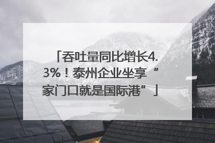 吞吐量同比增长4.3%！泰州企业坐享“家门口就是国际港”