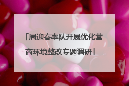 周迎春率队开展优化营商环境整改专题调研