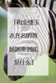 和金缕玉衣齐名的黄肠题凑到底是什么