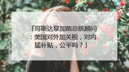 哥斯达黎加前总统顾问：美国对外加关税，对内猛补贴，公平吗？