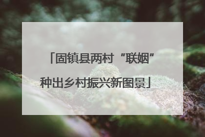 固镇县两村“联姻”种出乡村振兴新图景