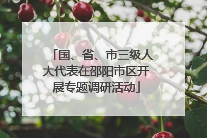国、省、市三级人大代表在邵阳市区开展专题调研活动