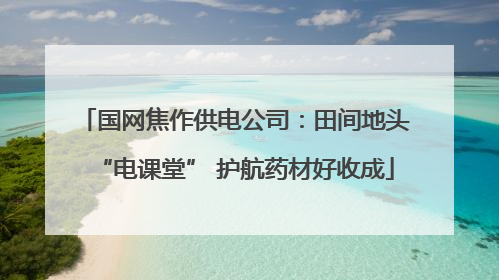 国网焦作供电公司：田间地头“电课堂” 护航药材好收成
