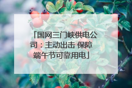 国网三门峡供电公司：主动出击 保障端午节可靠用电